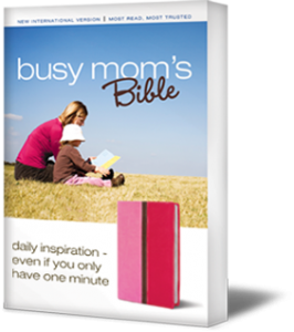 bible bible