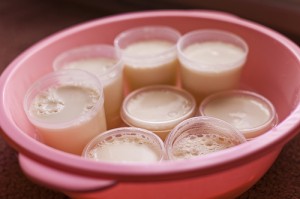 homemade-yogurt homemade-yogurt