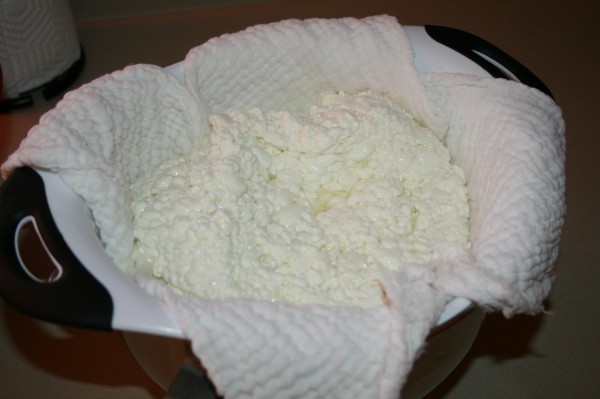 Blog-Cottage-cheese-401