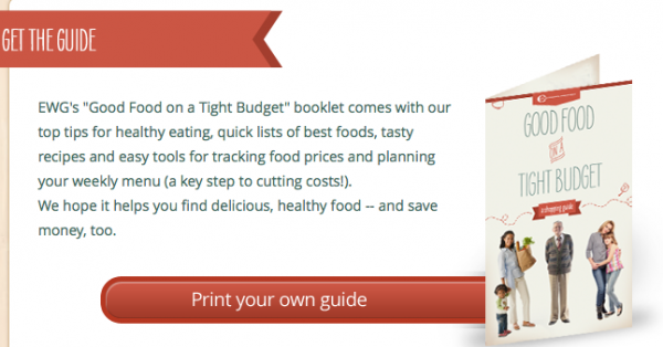Free ebook: Good Food on a Tight Budget