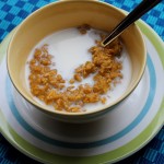 Pumpkin Pie Oatmeal