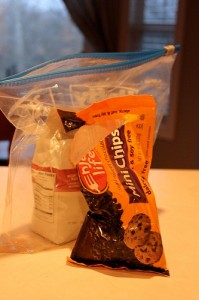 Freezer Cooking in an Hour