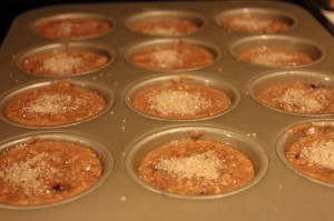 Freezer Cooking in an Hour