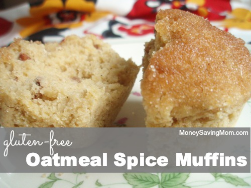 gluten-free oatmeal spice muffins