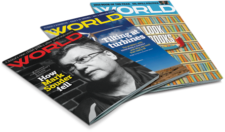 Magazine_Fan_sm_NovDM2