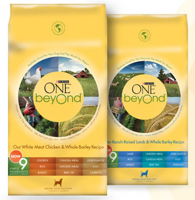 Purina One Dog Food sample