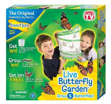 Insect Lore Live Butterfly Garden for $11.93
