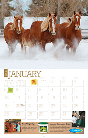 Free 2014 Horse Care Calendar