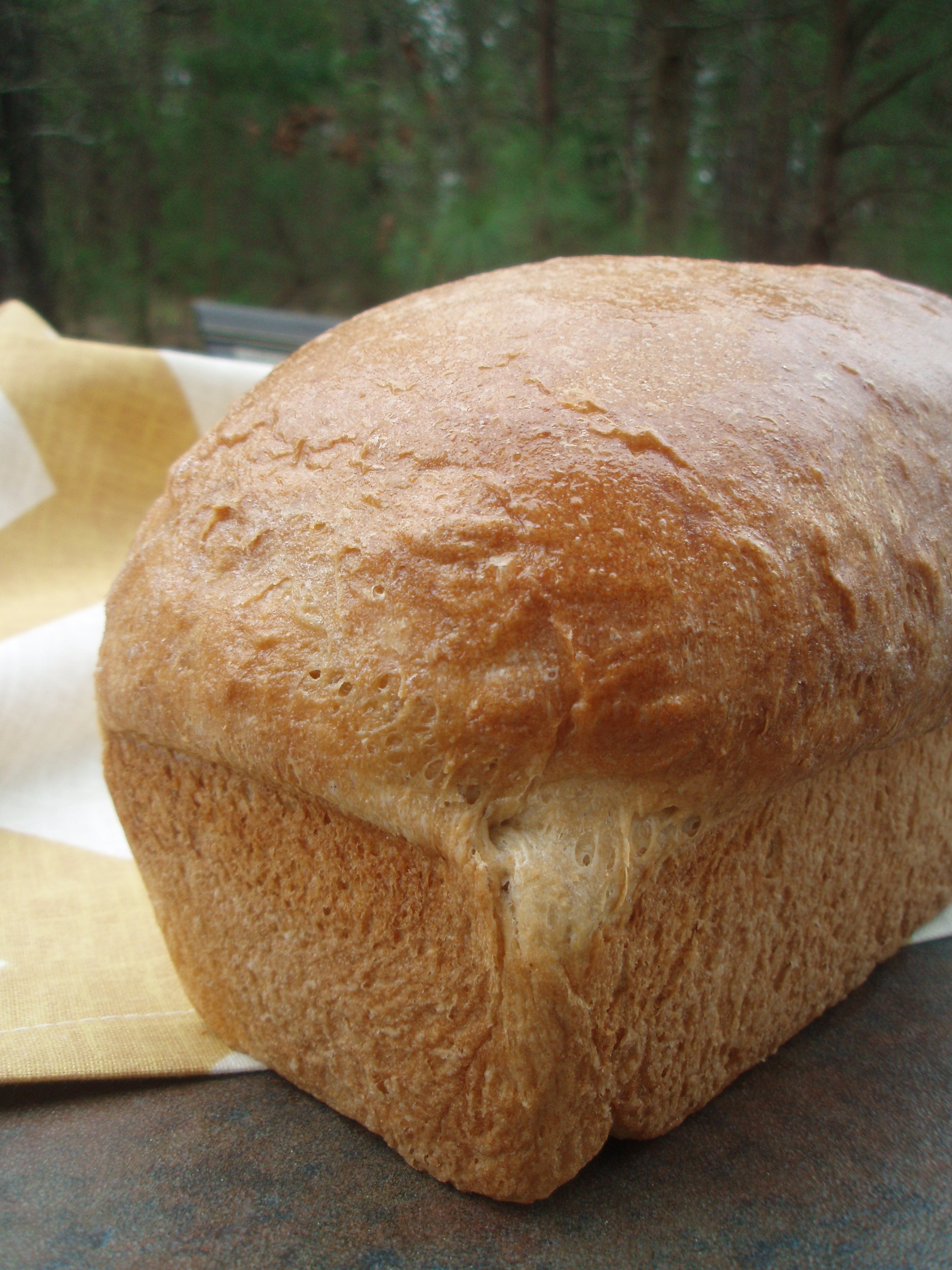 Easy Whole Wheat Bread - Money Saving Mom®