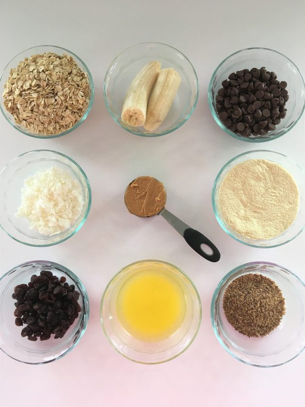 ingredients for homemade protein bars