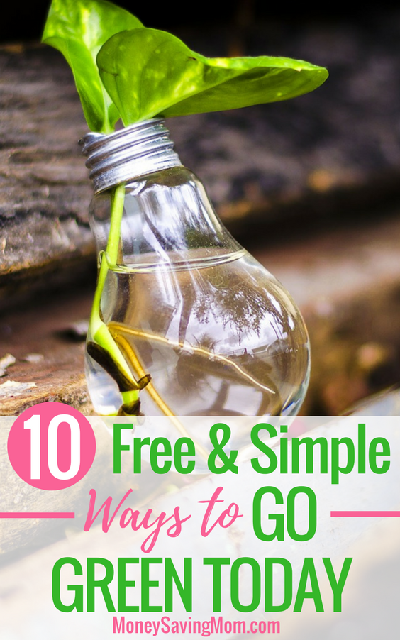 Looking for easy ways to go green? Check out these 10 tips that are completely FREE!