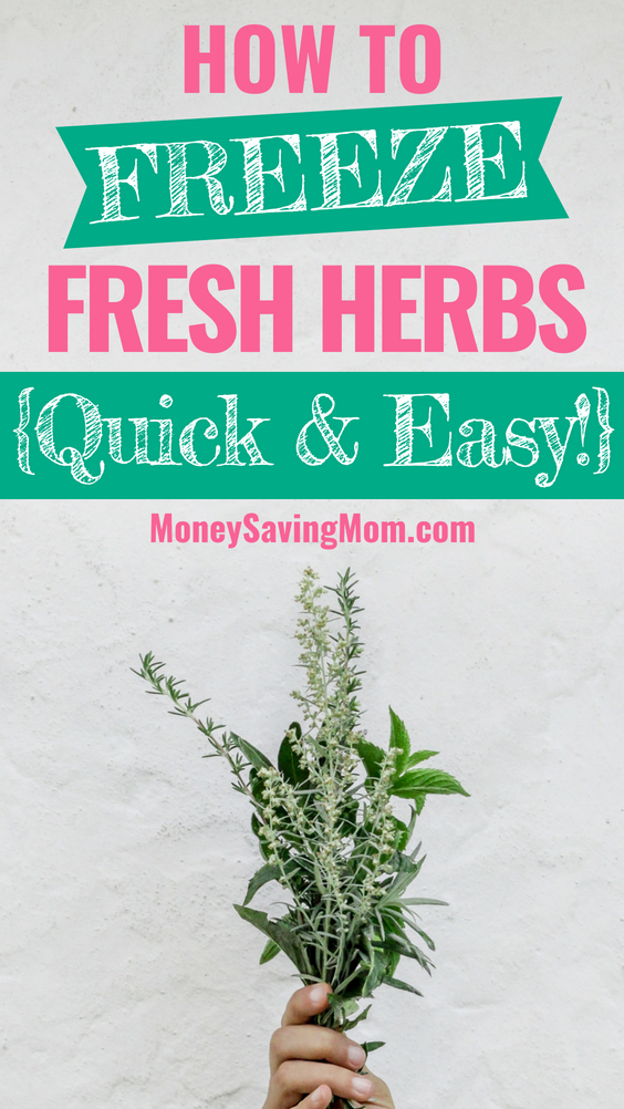 Freeze fresh herbs with this quick and easy method!! They'll never go to waste again!