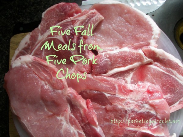 Five-Fall-Meals-from-Five-Pork-Chops-1024x768