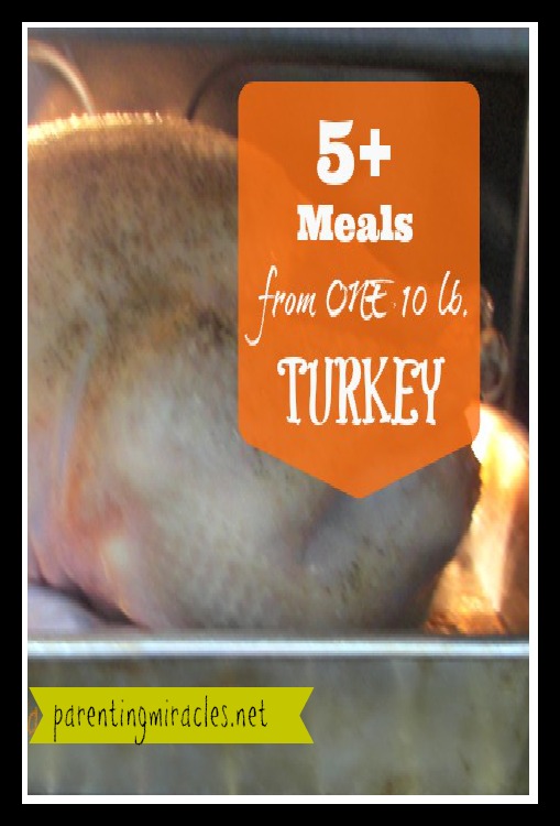 5+-Meals-from-one-10-lb.-Turkey-Pin