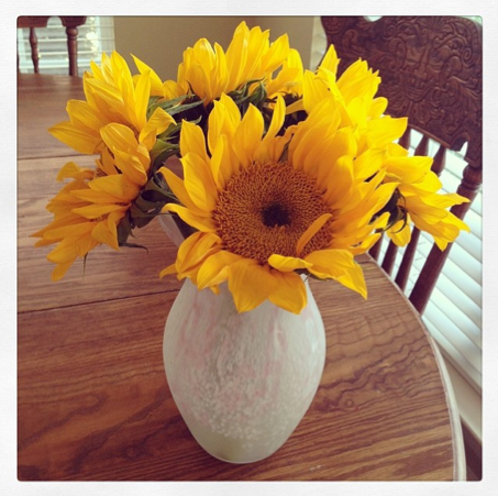 Beautiful Sunflowers