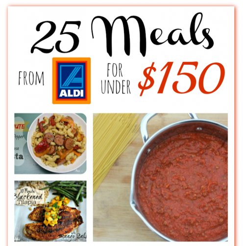 25 Meals from ALDI for $150 total!