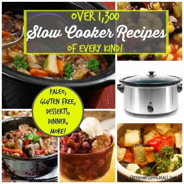 1300 Slow Cooker Recipes