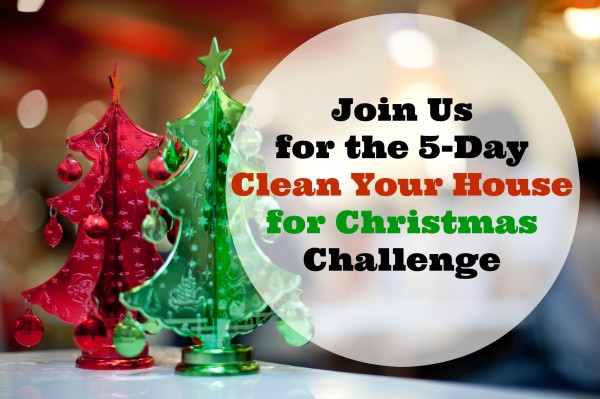 Clean Your House for Christmas Challenge