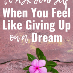 5 Questions to Ask Yourself When You Feel Like Giving Up on a Dream
