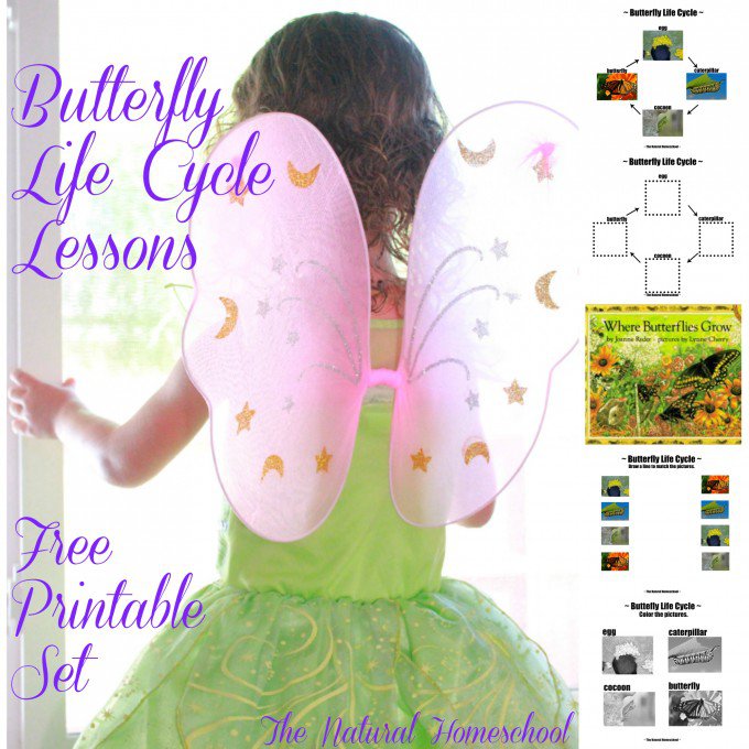 Butterfly-Printables-Main-2-e1429633951736