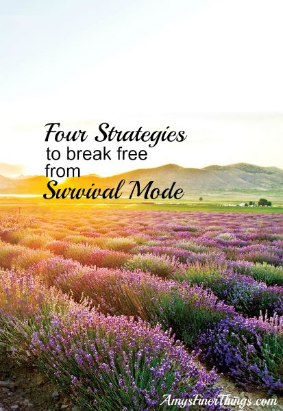 Break-Free-From-Survival-Mode