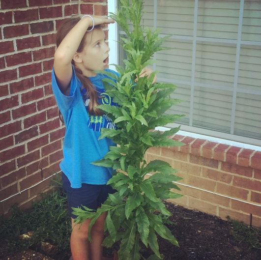 A Peek Into Our Week