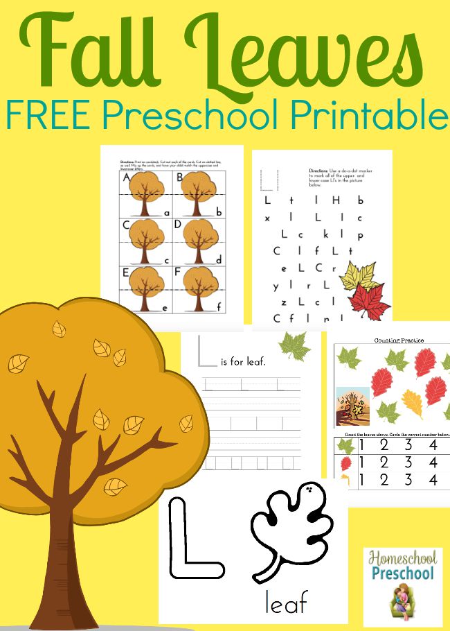 Free Fall Leaves Preschool Printable