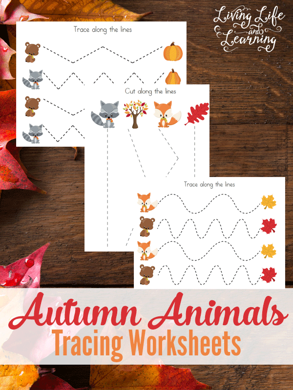 Free Autumn Animals Tracing Worksheets