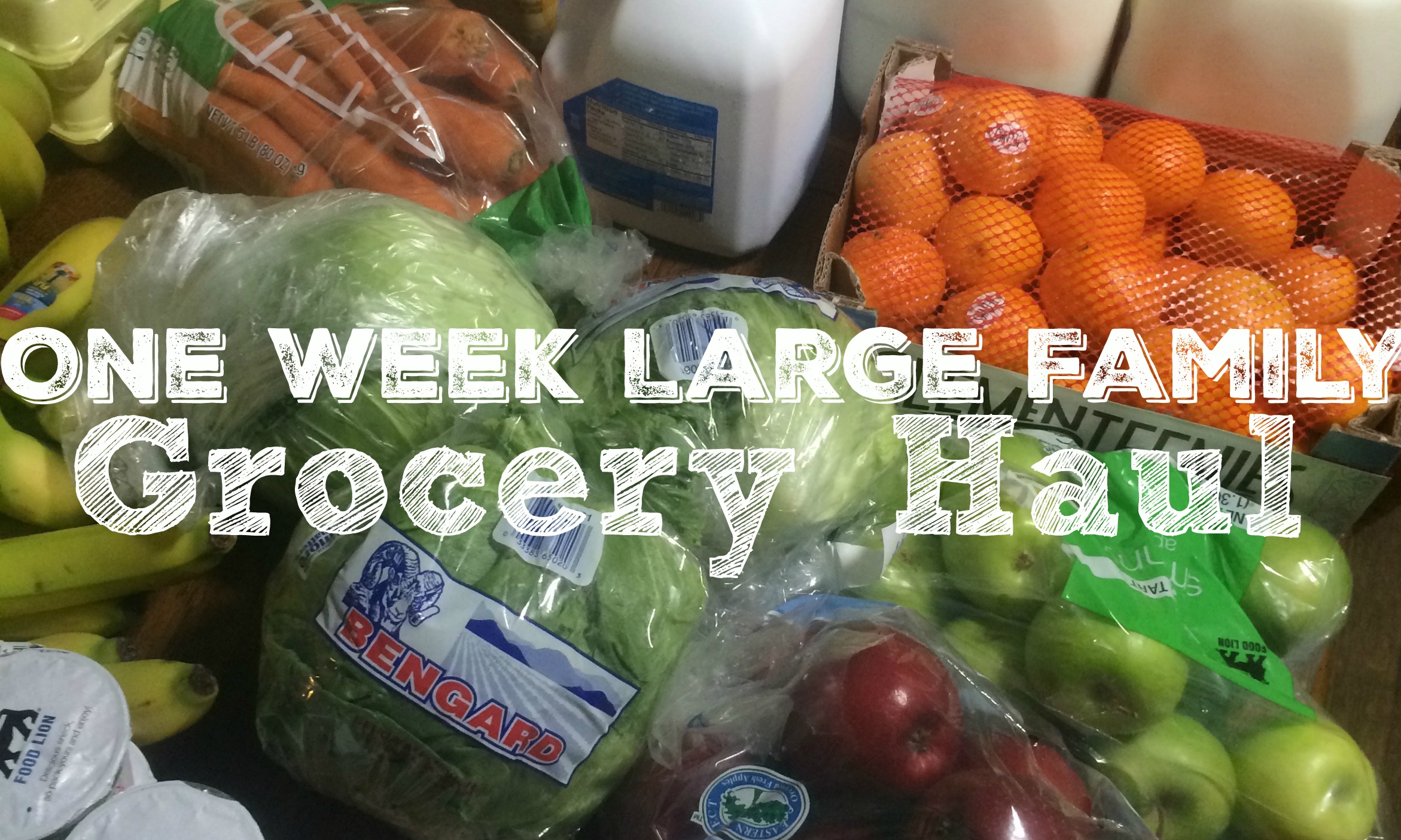 One Week Large Family Grocery Haul