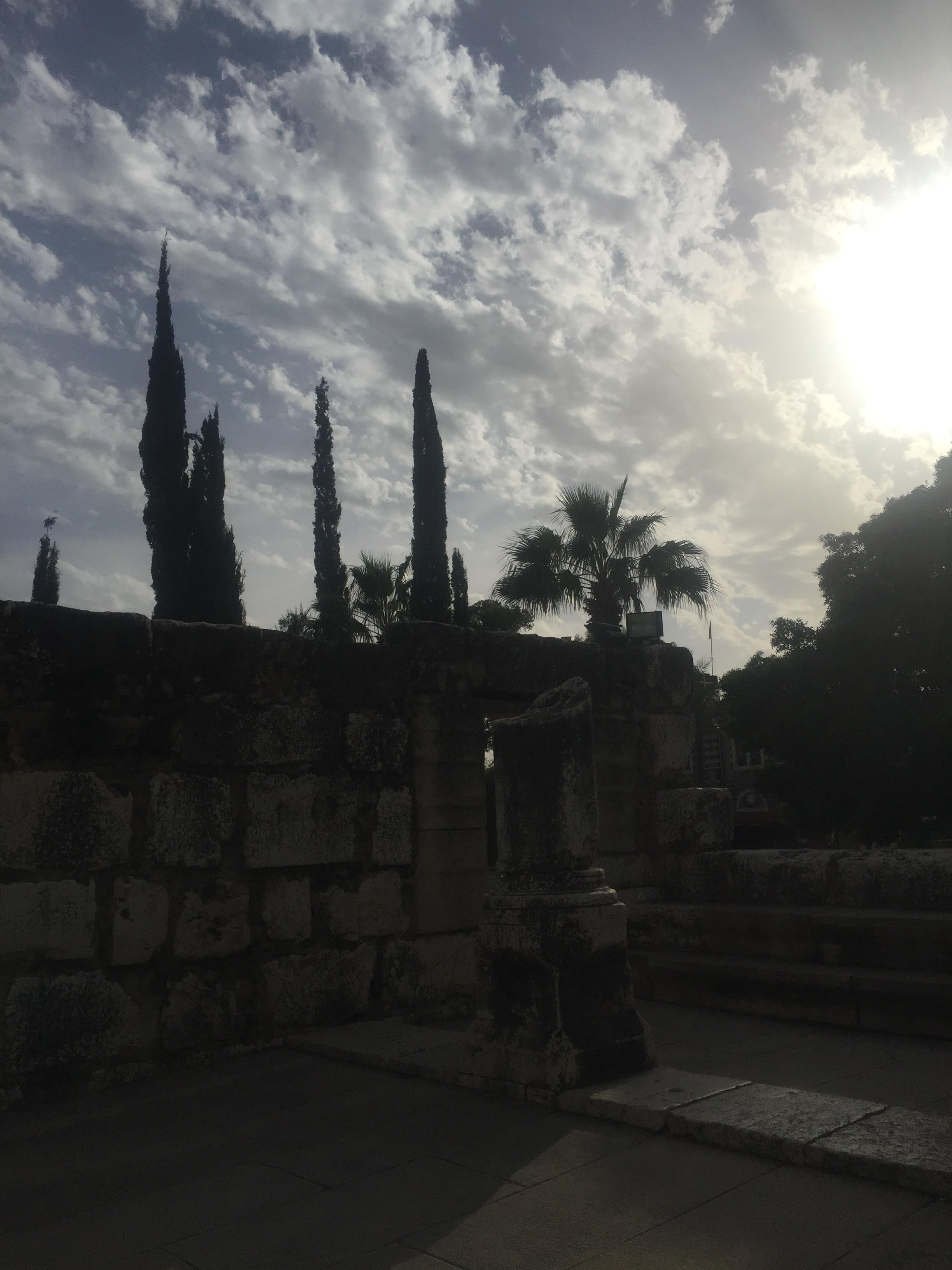 7 Days in Israel: Day 5
