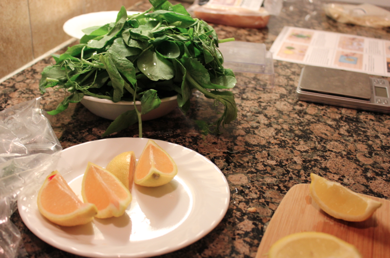 green and lemon slices for meal