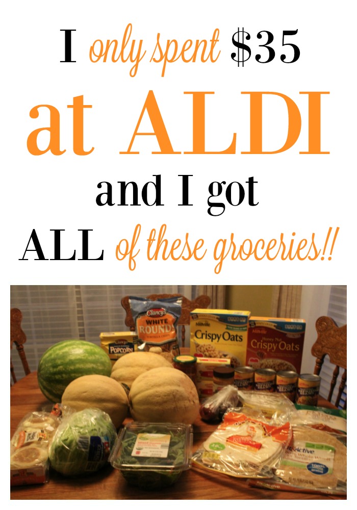 I only spent $35 at Aldi & got all of these groceries!