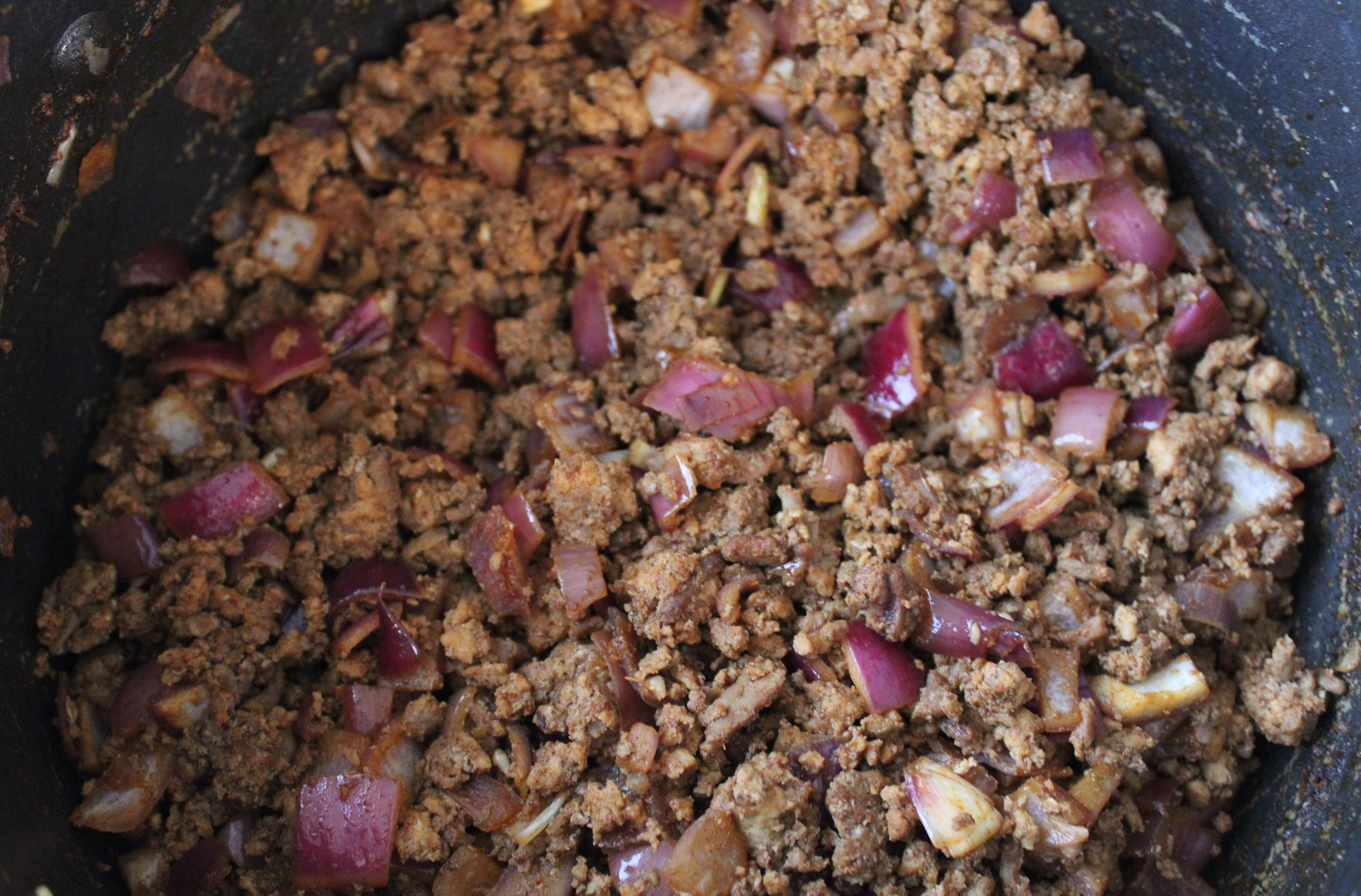 close-up photo of taco meat