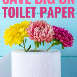 Save BIG on toilet paper with these 5 simple tricks!
