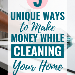 Make Money Cleaning Your Home