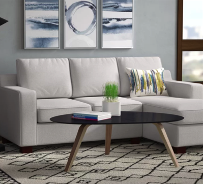 Wayfair sofa in living room