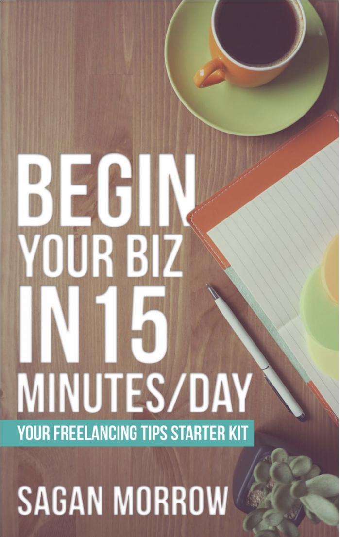 Begin Your Biz in 15 Minutes a Day