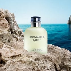 Dolce & Gabbana Light Blue Fragrance