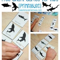 Free Printable Shark Games