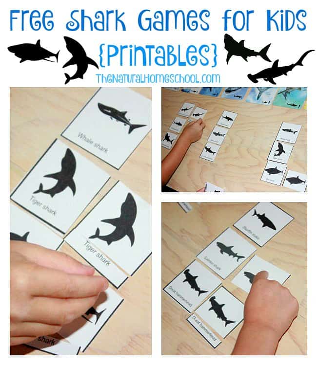Free Printable Shark Games