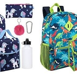 6-in-1 Backpack Sets Only $13.74