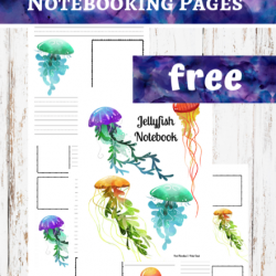 Jellyfish Notebooking Pages