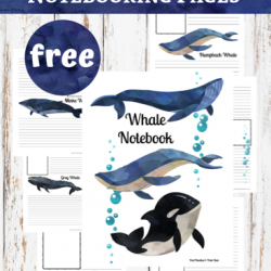Whale Notebooking Pages
