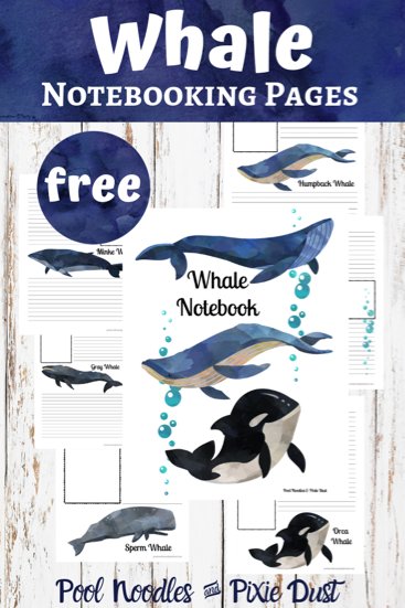 Whale Notebooking Pages