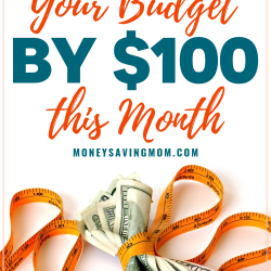 Cut Your Budget By $100