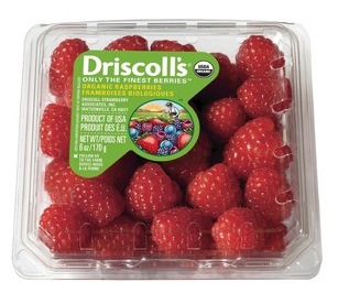Fresh Organic Raspberries
