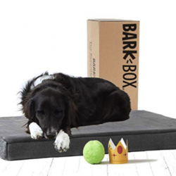 BarkBox Dog Bed