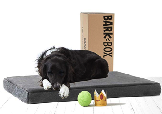 BarkBox Dog Bed