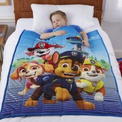 Character Weighted Blankets