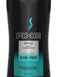 AXE Body Wash for Men